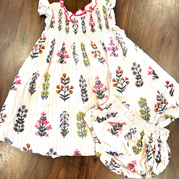 Pink chicken baby Stevie dress set